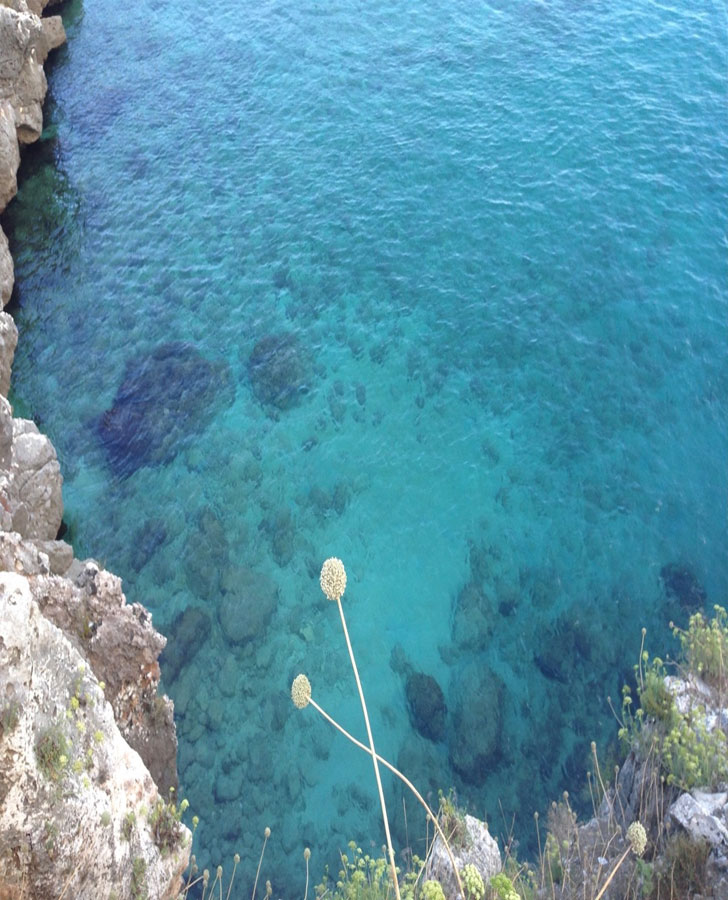 Casananda Retreats